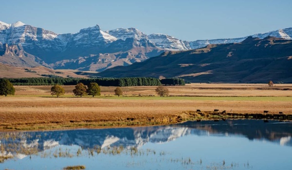 AI赋能英语学习：从传统到智能的高效进阶之路