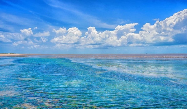 深海探秘与人性光辉：《海底两万里》的科幻魅力与人物深度解析