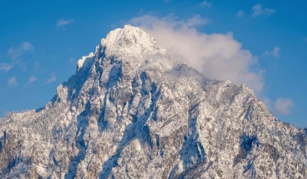 北极危机与少年侦探团：揭秘雪地摩托背后的环境阴谋