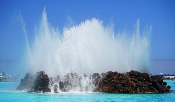 《狼王梦》深度解析：紫岚如何重塑双毛的王者之路（1）