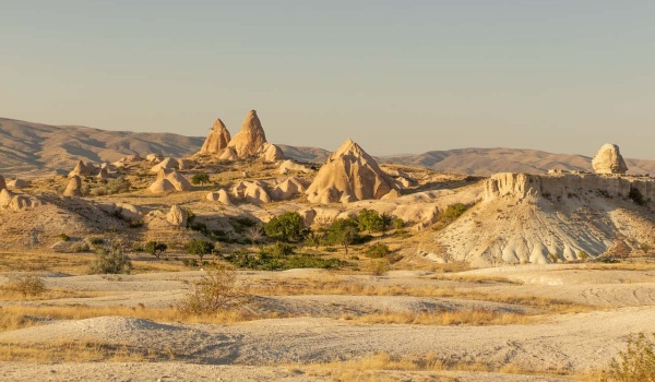 暑期必读 | 《被讨厌的勇气》：解锁阿德勒哲学，拥抱真正的自由人生