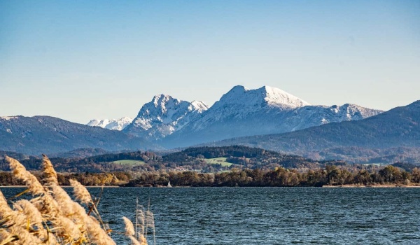 成功秘籍揭秘：阅读如何助力职场人士步步高升？