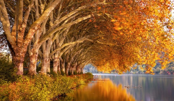 夏灿老师：以书香为灯，照亮葵园花开之路