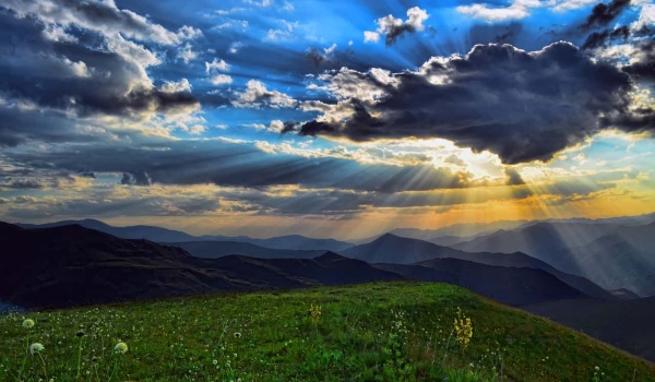 上饶市教育局直属小学“护苗杯”征文赛：获奖名单及优秀作品赏析