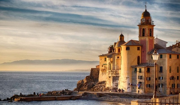 叶圣陶的牵牛花情缘：四年耕耘，静待花开盛景