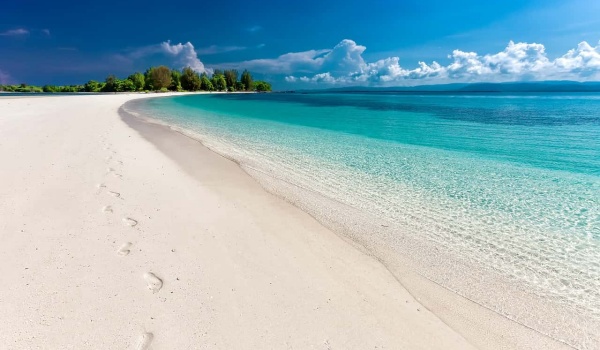 《丽人书单》：杨澜的智慧人生，与你共赏世界之美