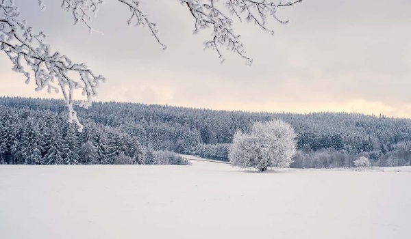2025五道口金融论坛揭秘：AI开源技术如何引领普惠金融“零边际成本”新时代