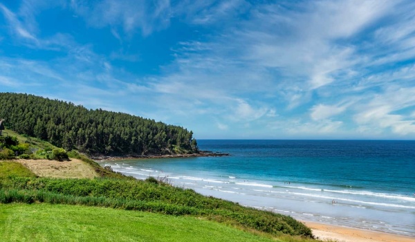 《小王子》读后感:探寻爱与成长的真谛,启迪心灵之旅
