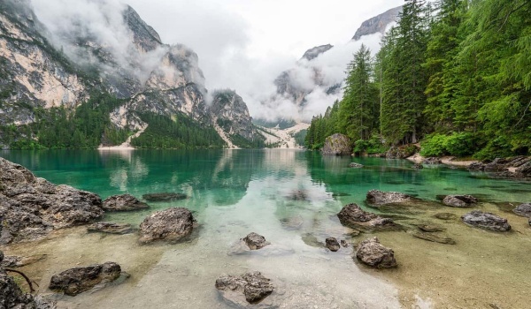 如何撰写一篇精彩的读后感：以《小王子》为例