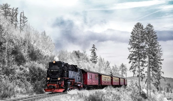 2025福建省青少年与家庭阅读盛典：获奖名单揭晓，书香满溢新征程！