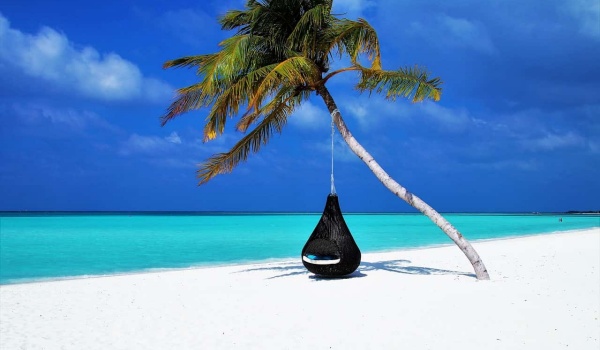 军魂永驻：冬歌文苑中的“兵味”情怀与文学力量