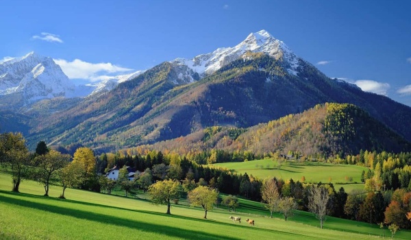 《西游记》孙悟空成长启示录：从顽猴到英雄的蜕变