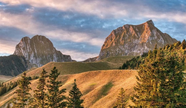 家校共育新篇章：青岛市李沧区实验小学五年级家长共读《家长手册》深度感悟