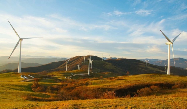 《深暗处见光辉：与小魔女水孩儿的书香奇缘》