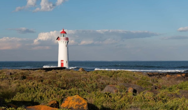 书香满园·文韵悠长——第一实验小学语文综合实践探索之旅