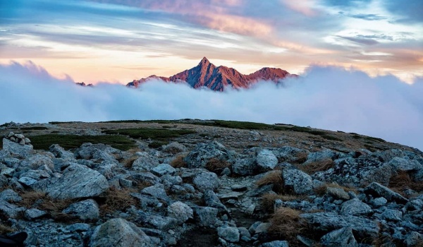 李丽花散文中的“李焕英”:深情讴歌母爱的文学典范