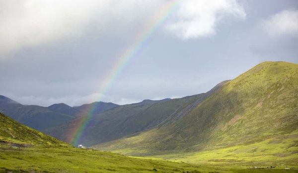 批判性阅读与读后感撰写指南：Response Paper全攻略