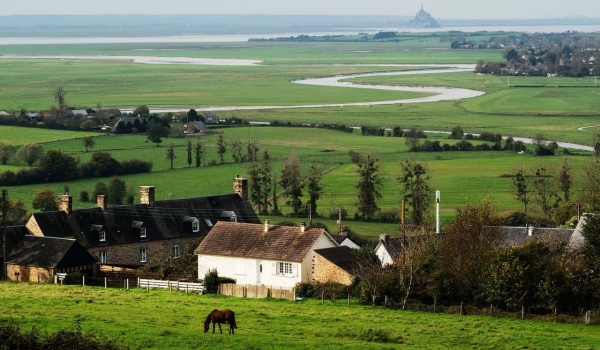 《黄果树瀑布》读后感：领略自然壮美，感悟人生真谛