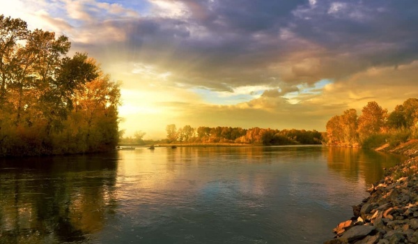 鲁迅之光:照亮心灵深处的洞穴