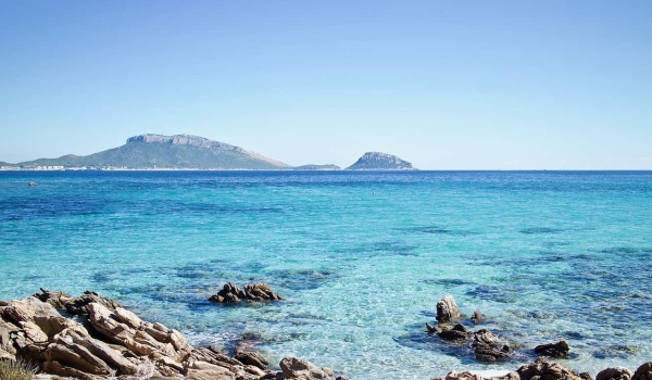 末代江苏巡抚孙女 | “我对陈毅市长说，寸土必争”