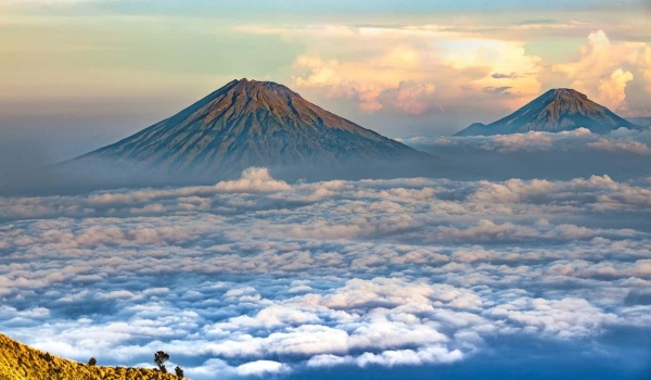 【书香校园】“我与书的故事”魅力书虫班级