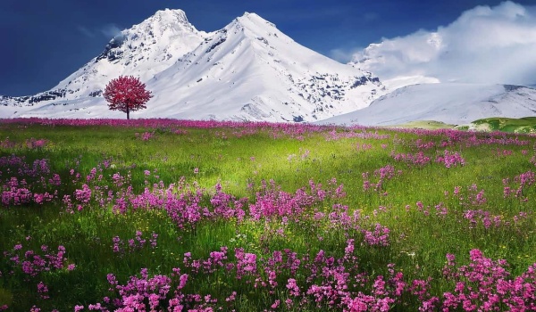 肖怀德：“鄂温克之行对我，是一次对生而为人的生活理解的去泡沫化过程”