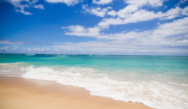 【第2352期】超强干货，助力说课||八年级下册全册课文教学目标及学习活动建议