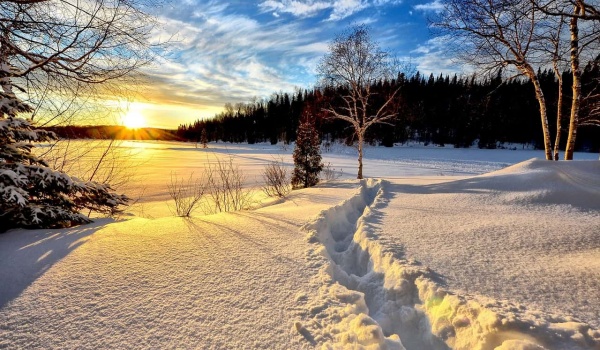 我的阅读故事|刘晓琳：人生有书即清欢