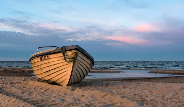 我很凶，但是我也很温柔 |《昆虫记》之狼蛛