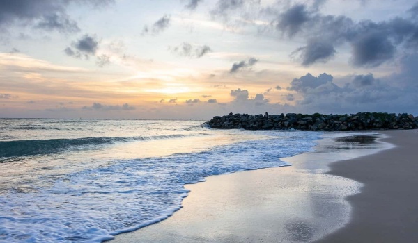 《终身成长》读后感