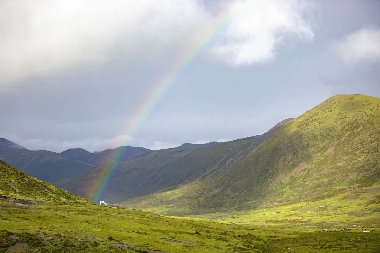 2024中考必读：《镜花缘》名著全解析与阅读要点精粹