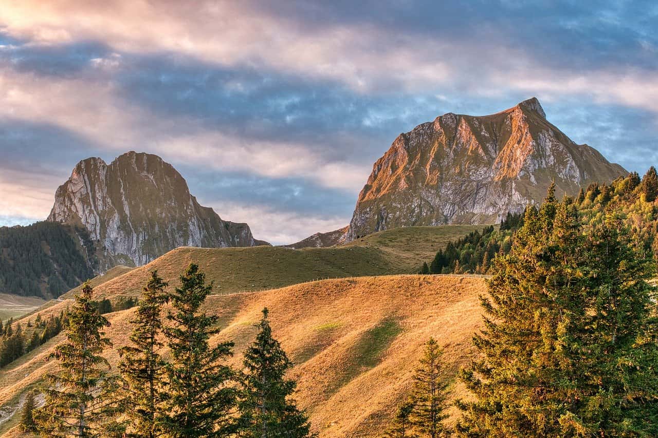 诗意盎然：中国诗歌报临屏诗六室第207期佳作精选
